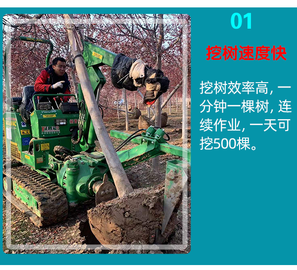 欧美午夜在线视频