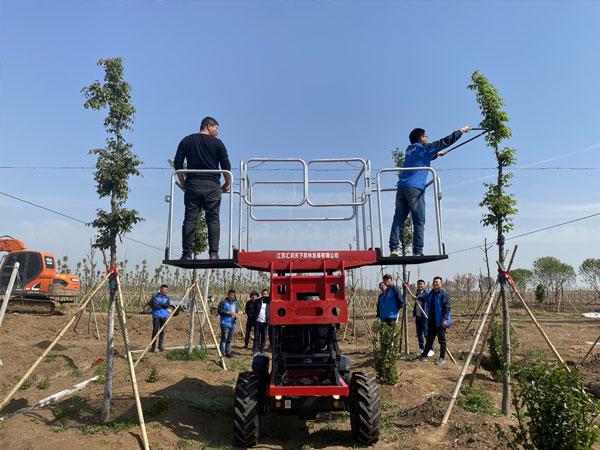 如何選擇適合自己的果園采摘平台？